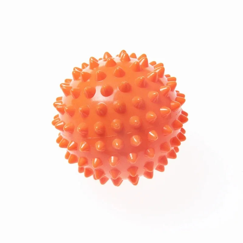 Physiotherapy PVC Ball