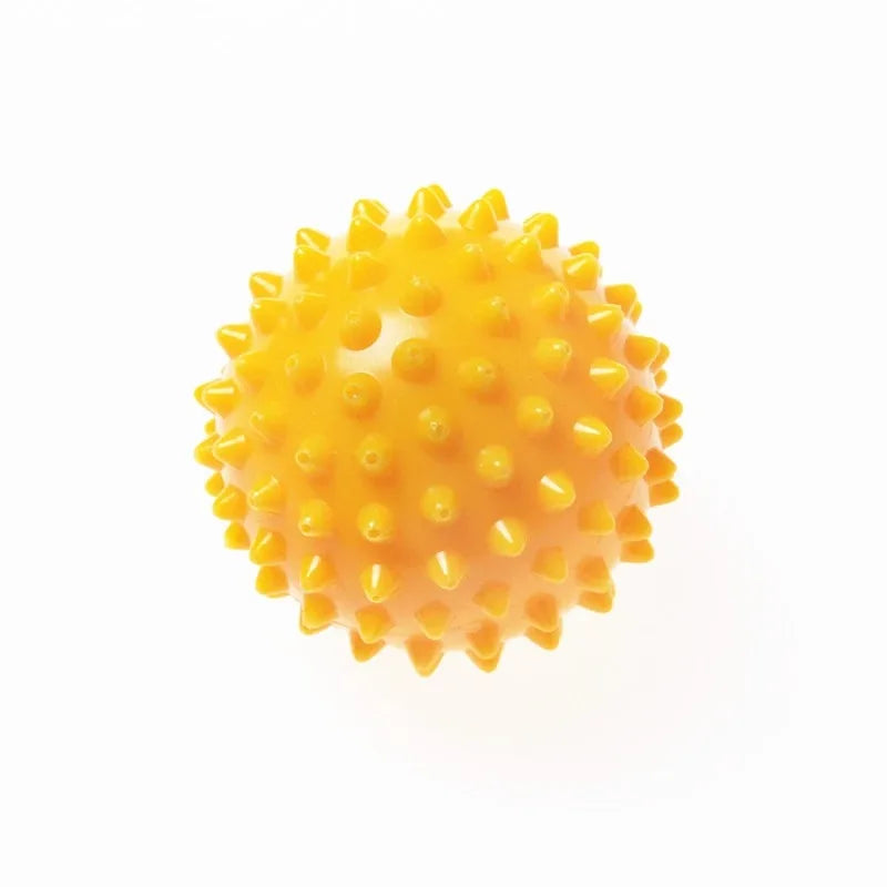 Physiotherapy PVC Ball
