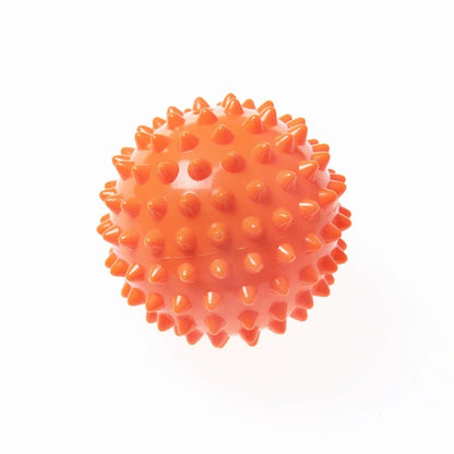 Physiotherapy PVC Ball