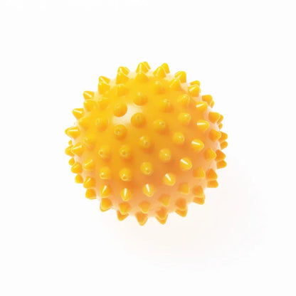 Physiotherapy PVC Ball